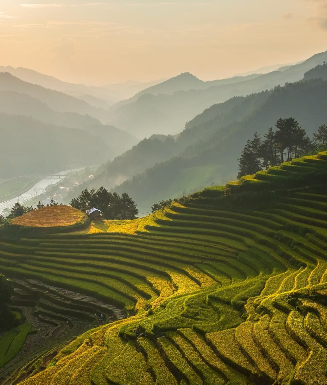 Terraced fields with mountains in the background