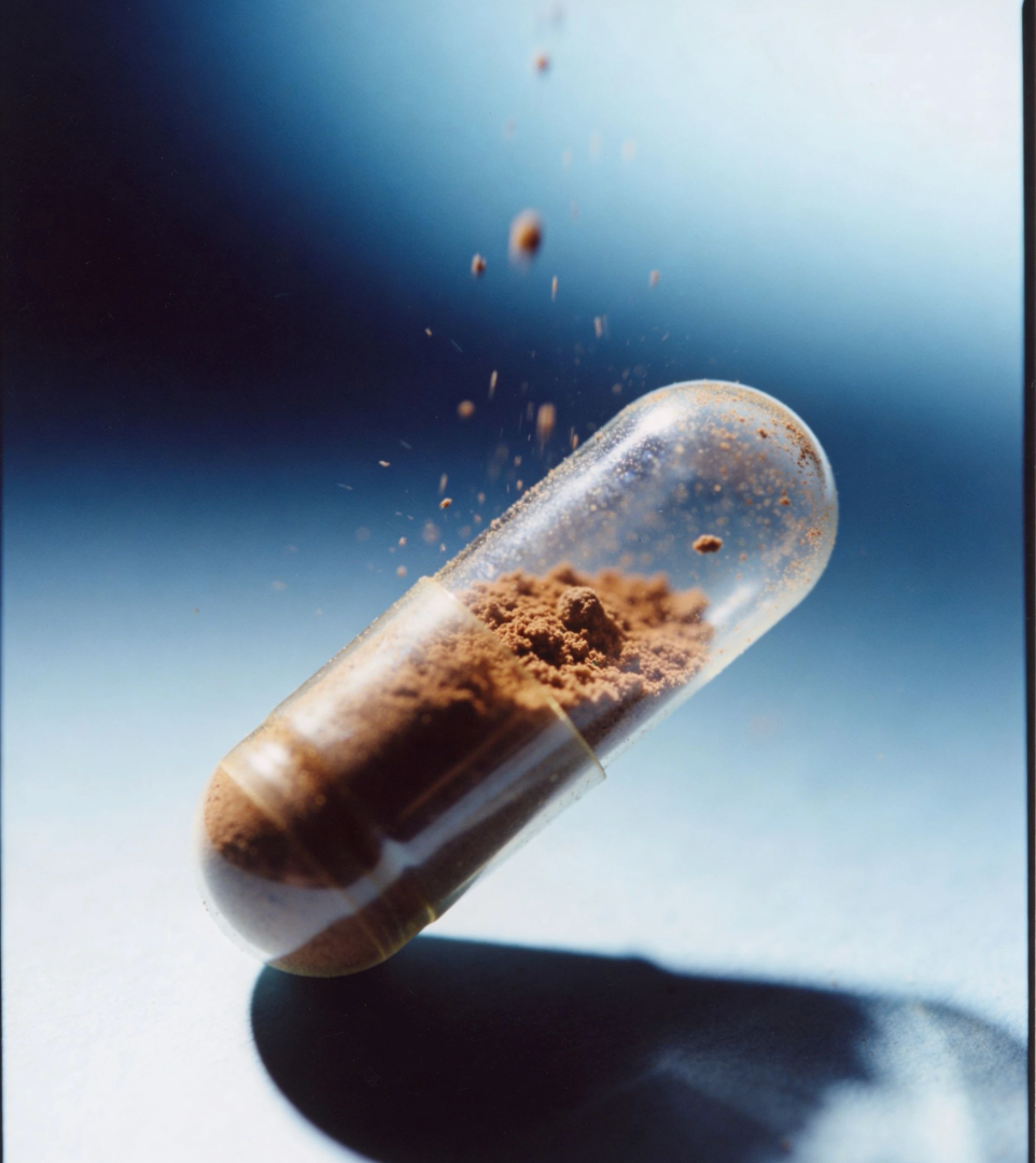 How to Choose a Mushroom Supplement That Actually Works