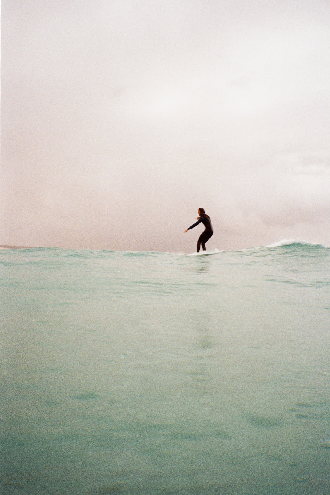 The Longevity Secret Hidden in Mushrooms: How Nature Protects Your Cells from Aging