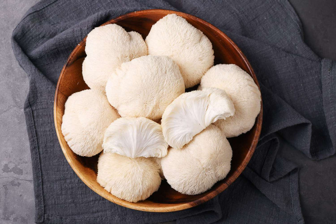 Lion’s Mane for Brain Fog: Does It Actually Work?