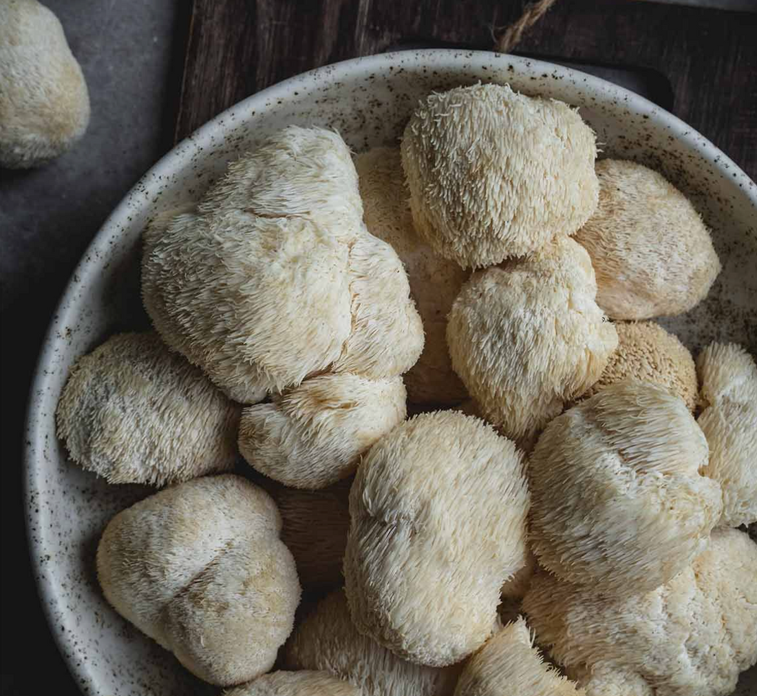 bowl of lions mane mushrooms. mushrooms for clarity and brain function