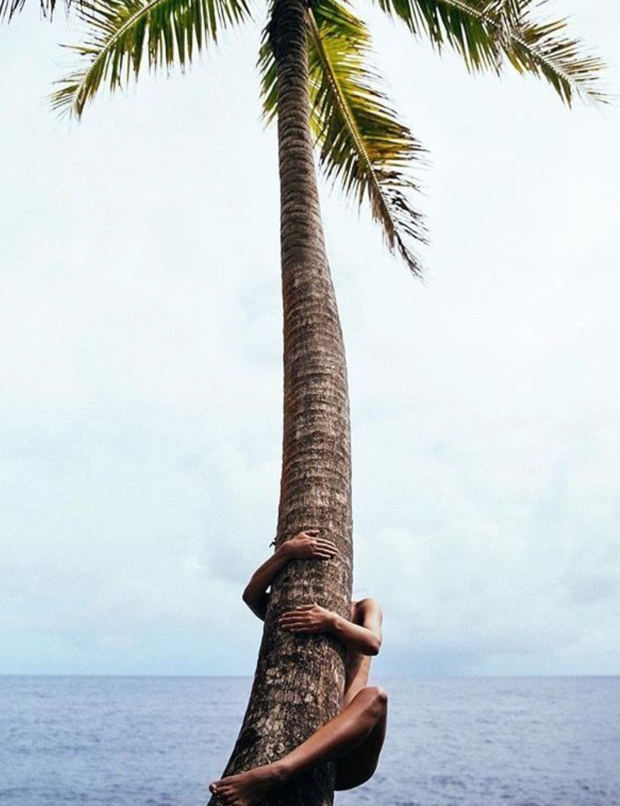 I took reishi before bed for 30 days - Here’s what changed