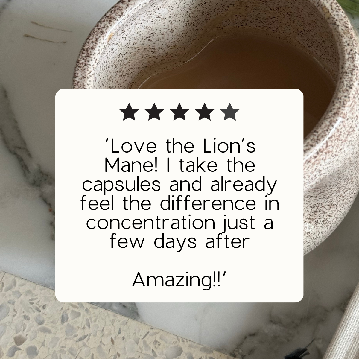 Organic Lion's Mane - Focus, Memory & Clarity - Capsules or Powder