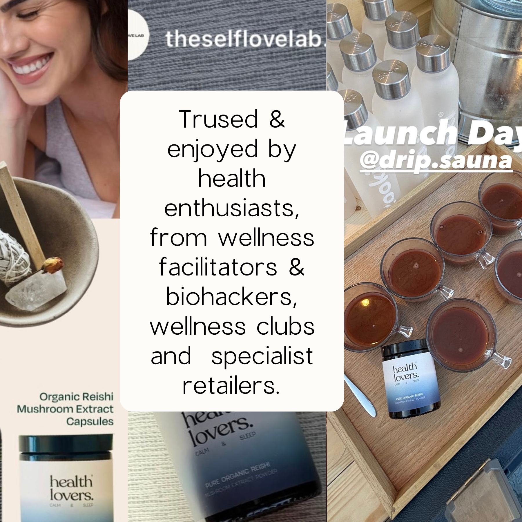 Organic Reishi - Calm, Sleep & Stress Support - Capsules or Powder